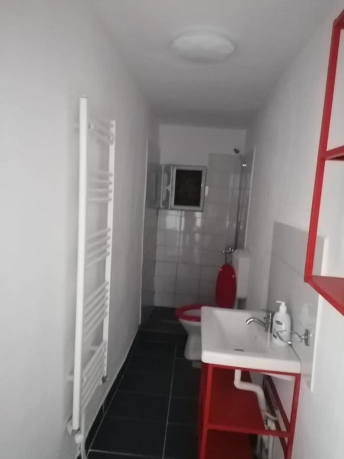 Pensiunea Nela Cluj-Napoca Exteriör bild