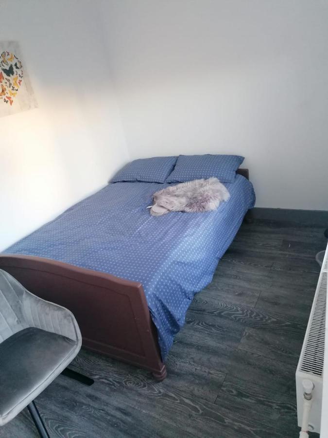 Pensiunea Nela Cluj-Napoca Exteriör bild